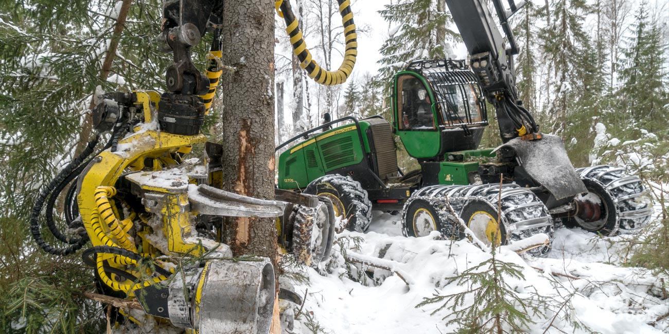 Сертификат FSC